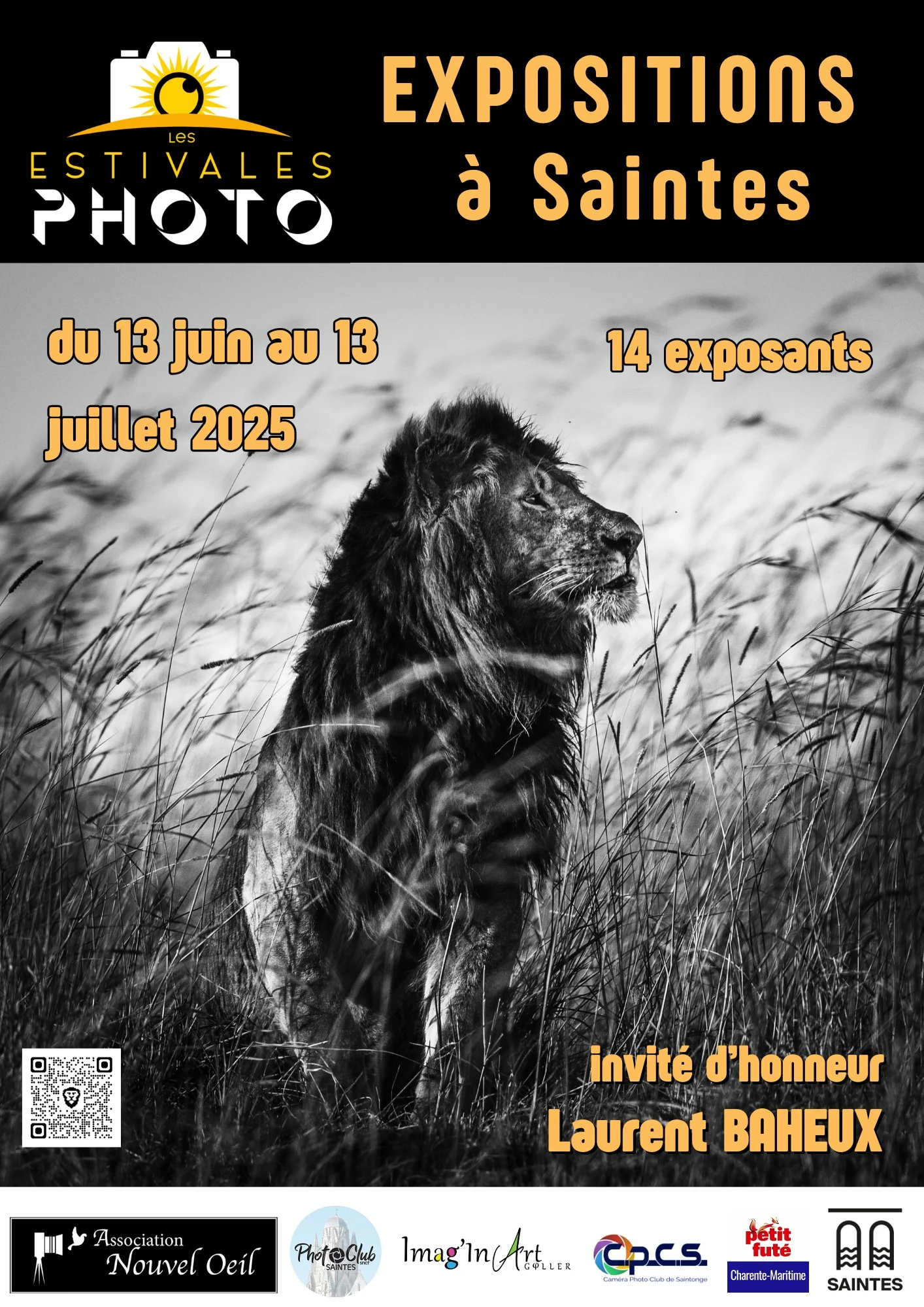Exposition Les Festivales Photo