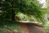 arbre3re