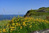 cliffsre