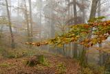 automne4re