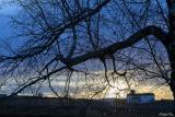 Paysage Cherac 2024 (Matin)