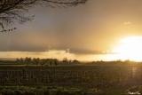 Paysage Cherac 2024 (soleil couchant)