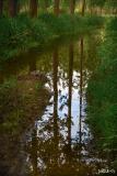 reflets bisre