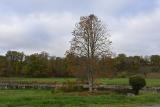 automne2