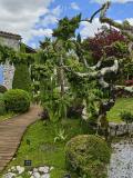 Jardin OSODA H  (2)