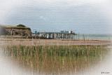IMG 3685 bis