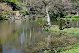 serpentre