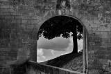 archere
