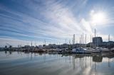 Bassins-des-lumieres-ocean-02