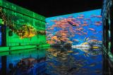 Bassins-des-lumieres-ocean-08