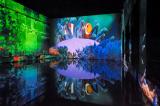 Bassins-des-lumieres-ocean-09