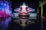 Bassins-des-lumieres-ocean-11