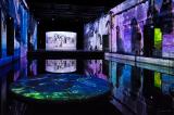 Bassins-des-lumieres-ocean-12