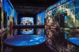 Bassins-des-lumieres-ocean-14