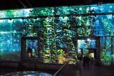 Bassins-des-lumieres-ocean-15