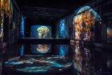 Bassins-des-lumieres-ocean-16