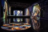 Bassins-des-lumieres-ocean-17