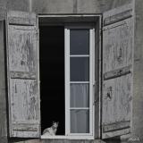chat