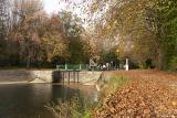 Couleurs d'automne 11 2025 (1)