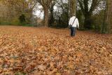 Couleurs d'automne 11 2025 (2)
