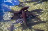 Pisciculture-Gensac-13