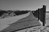 plage1