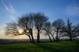 St-Savinien-07
