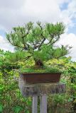 Jardin-Olosa-st-romain-benet-02