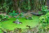 Jardin-Olosa-st-romain-benet-08