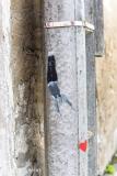 Sentier-des-Arts-La-Tremblade-13
