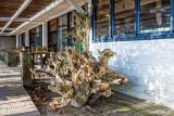 Sentier-des-Arts-Meschers-10